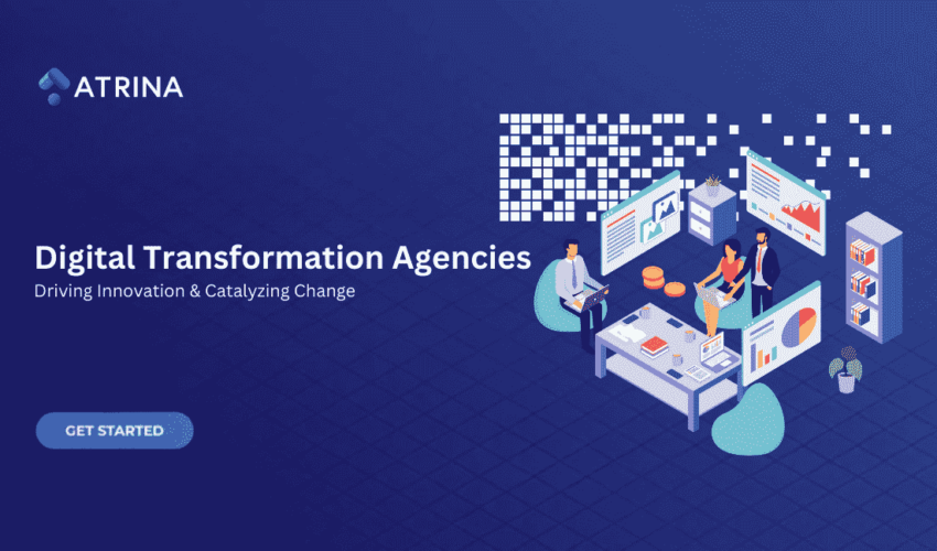 Digital Transformation Agencies