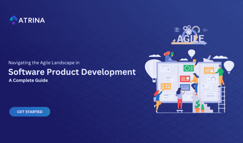 Software Product Development