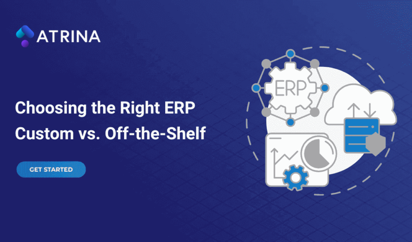 Custom vs off-the-shelf ERP Software Systems